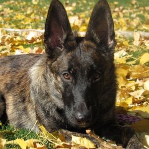 Meet your Posher, Jade